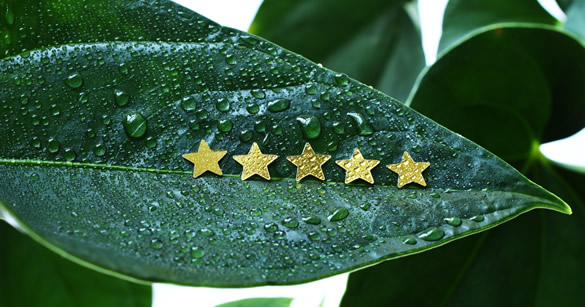Five-star customer review of GreenCode software optimisation